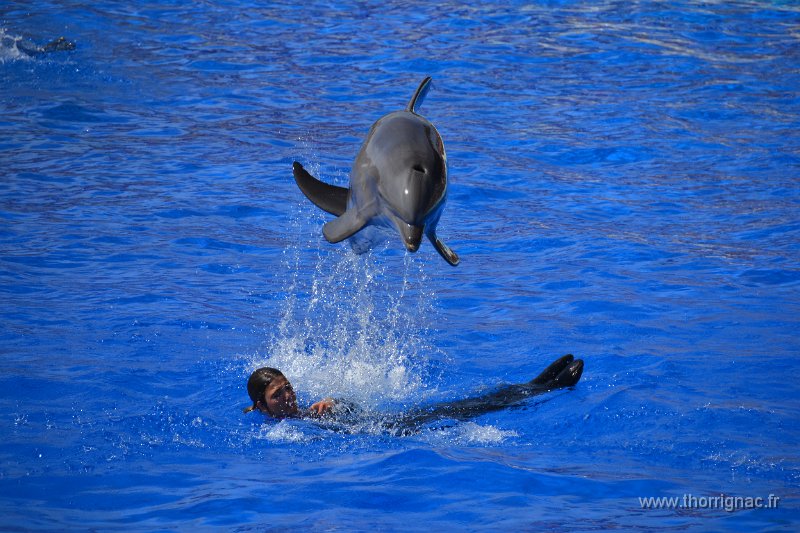 Marineland aout 2014 36.JPG - Marineland - Parc d'attractions aquatiques - Antibes - Août 2014